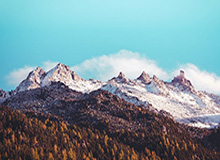 拜仁在米勒门上演五球屠杀,刷新德甲单赛季进球纪录